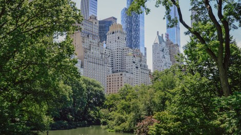 New York City, USA – June 16, 2026: Central Park Pond framed by green trees and Midtown Manhattan skyscrapers.