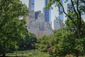 New York City, USA – June 16, 2026: Central Park Pond framed by green trees and Midtown Manhattan skyscrapers.