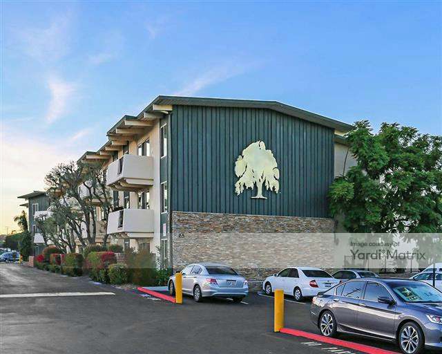 4401 Pacific Coast Hwy 90505, Torrance, CA, Willow Tree 13084